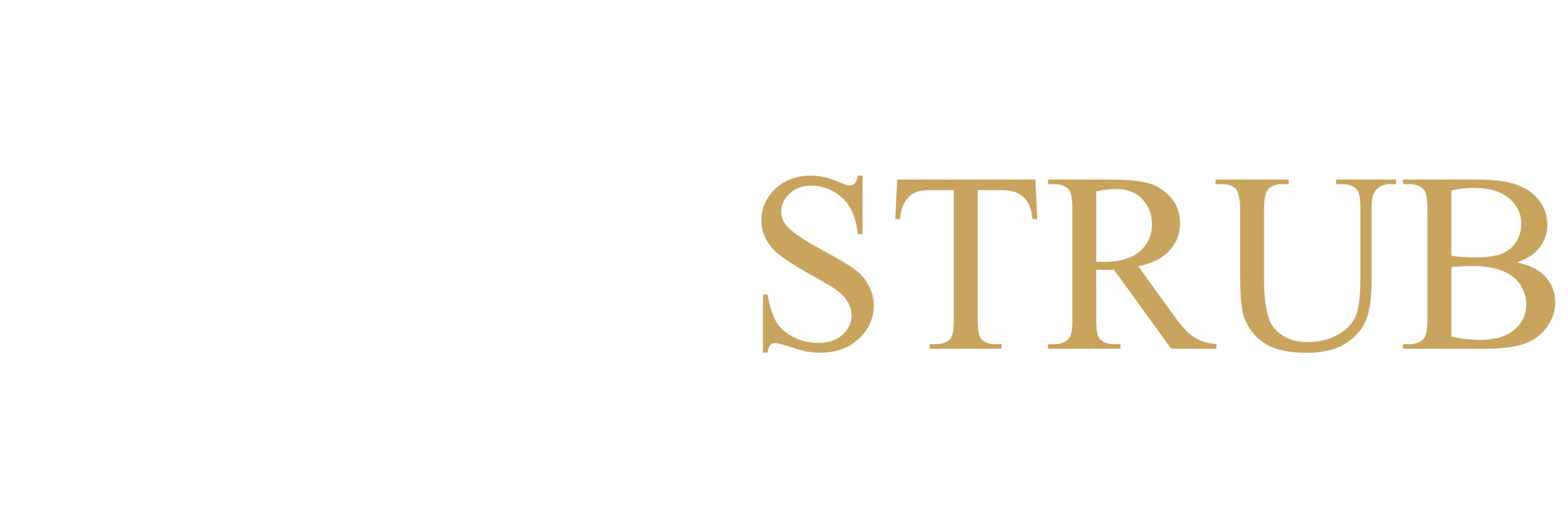 Leon Strub – Baufinanzierung leicht gemacht